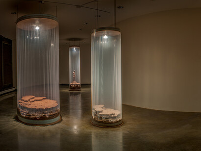 Walter McConnell. Courtesy of Bellevue Arts Museum