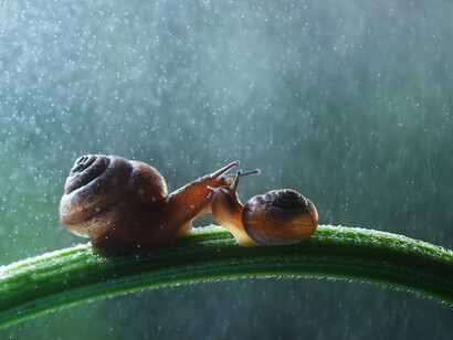 Vivimos en los tiempos de la prisa: ¿quién se atreve a vivir despacio?