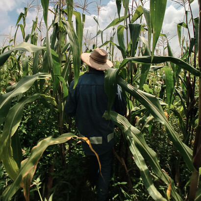 Campesino