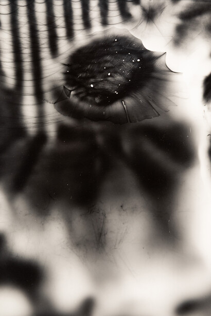 dean erdmann, Vitrum. Courtesy of Company Gallery