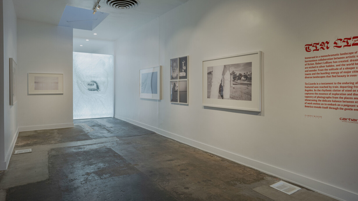Robert LeBlanc, Tin lizards, exhibition view. Courtesy of Fahey/Klein Gallery