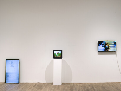 Vicious Frames. Courtesy of Postmasters Gallery