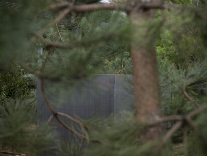 Alfredo Jaar, The Garden of Good and Evil, 2017. Courtesy the artist, New York, a_political and YSP. Photo © Jonty Wilde