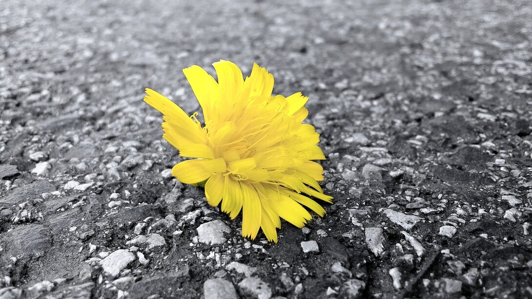 Hope is something makes sense, regardless of how it turns out