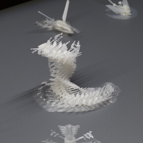 Stratification. Courtesy of Art Mûr