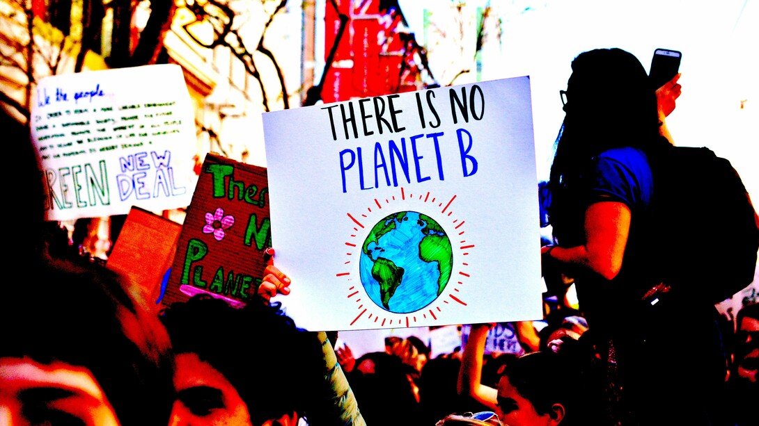 El año del medio ambiente