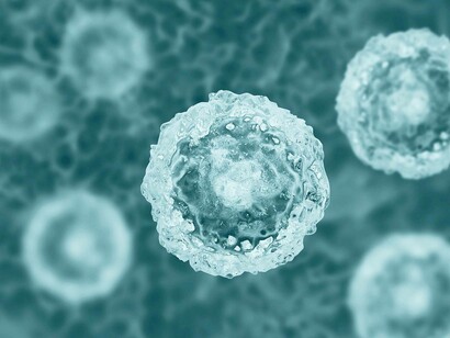A microscopic view of stem cells could be a way to treat inflammation