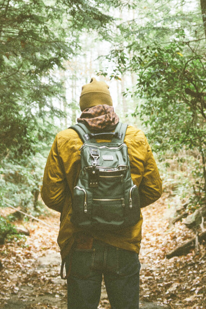 Los árboles liberan compuestos aromáticos llamados fitoncidas, que ayudan a reducir la fatiga mental y mejoran el bienestar general