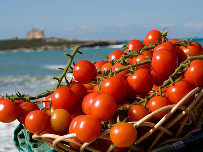 Fragrant Moroccan tomatoes