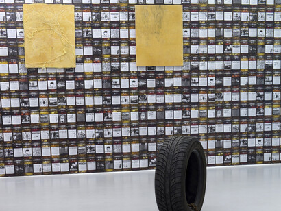Bill Hayden, Sam Pulitzer, Antek Walczak, Exhibition view "War Pickles II", Air de Paris, Paris, 2014, Photo Marc Domage, Courtesy Air de Paris, Paris