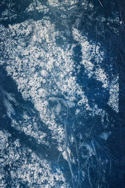 Florencia Brea. Cortesía de Jorge Mara - La Ruche