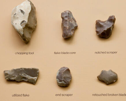 Spitzer Hall of Human Origins. Courtesy of American Museum of Natural History