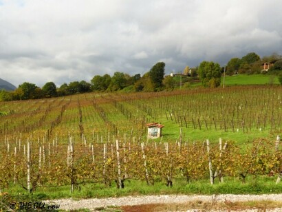 The Podere Pradarolo near Parma