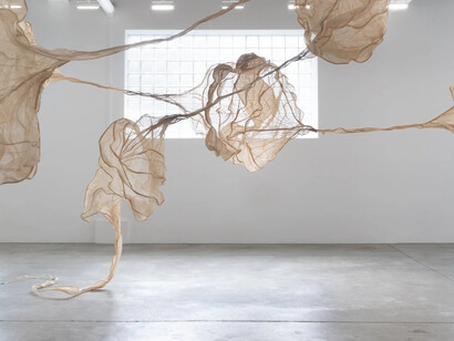 Alicja Biała and Diana Orving, The mushroom at the end of the world, exhibition view. Courtesy of Carvalho Park