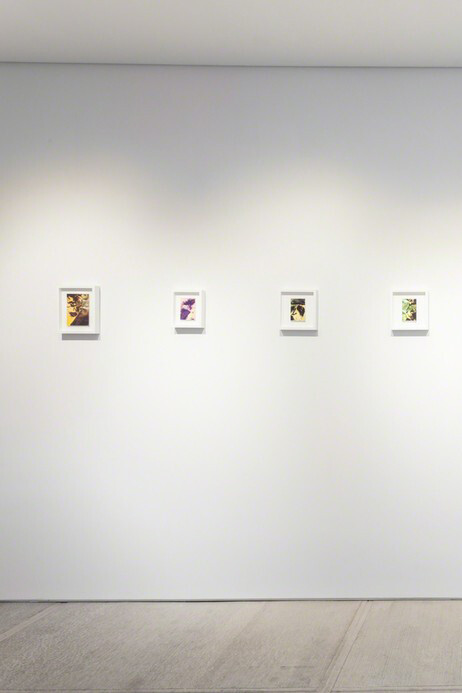 Pareidolia. Courtesy of Totah 