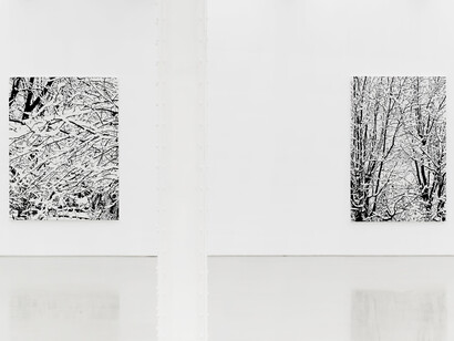 View of the exhibition Farhad Moshiri “Snow Forest” at Perrotin, New York, 2017. Photo: Guillaume Ziccarelli. Courtesy Perrotin