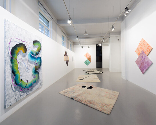 The seed can be initialized randomly II, Exhibition view. Courtesy of Temnikova & Kasela 