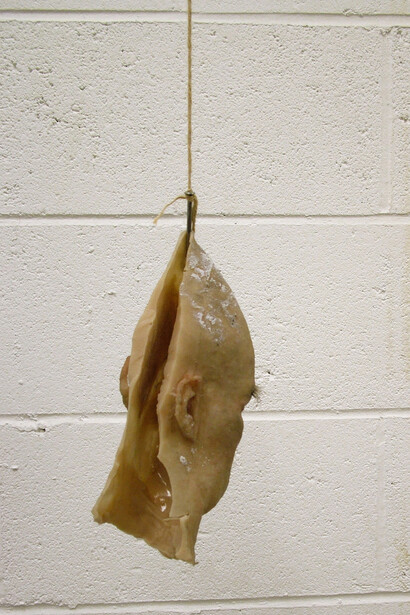 Littlewhitehead, Untitled installation fragment IV