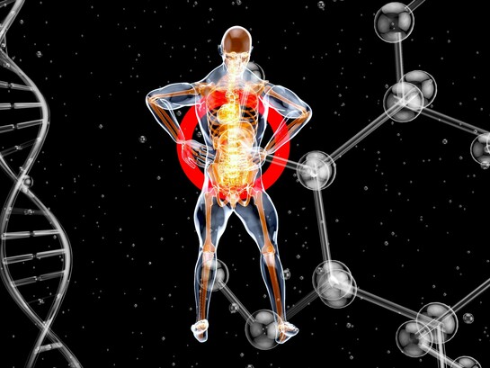 Representação do corpo humano cercada por estruturas moleculares e uma dupla hélice de DNA. A epigenética investiga justamente como fatores ambientais e comportamentais podem influenciar a expressão dos genes sem alterar sua sequência genética. Entre a herança genética e o ambiente existe um complexo sistema de regulação que ajuda a moldar a saúde ao longo da vida. Cada escolha cotidiana contribui para criar o ambiente bioquímico que influencia padrões de expressão gênica