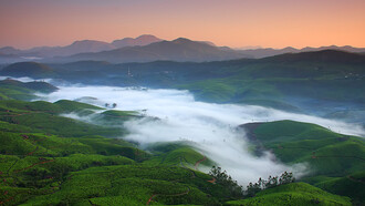Piantagioni di tè sulle colline del Nepal