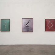 Photographic Works. Courtesy Craig Krull Gallery
