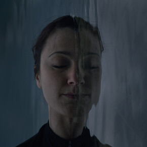 Roberta Segata, Il buio oltre la siepe, 2015