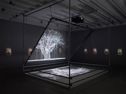 Mat Collishaw. Courtesy of Blain|Southern