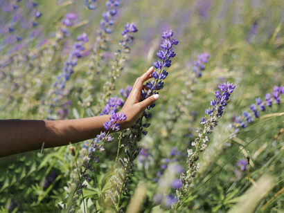 El roce de una brisa cálida de verano puede despertar la nostalgia de días felices e inocentes