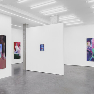 Tatiana Gorgievski, The skin I don’t have, exhibition view. Courtesy of Whitehouse Gallery