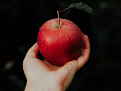 A red apple: sinning has always been humanity's downfall