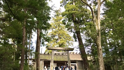 Ise Jingu Outer Shrine, main sanctuary © Alma Reyes
