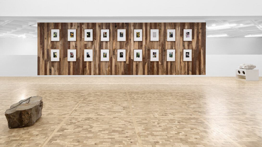 Various artists, The horizon is always receding, exhibition view. Courtesy of Museo Tamayo