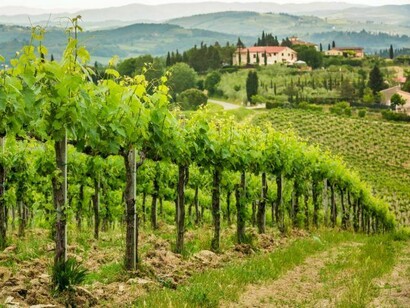 L'Indice prende in considerazione i nove parametri agronomici più importanti e singolarmente riconosciuti a livello internazionale come fattori di qualità