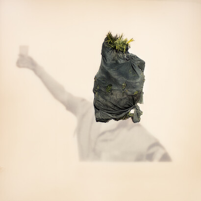 Alessandra Brown, De-Generazioni, stampa fotografica su mixed media, 2018