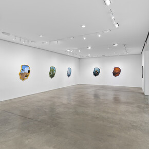 Alex Israel, Where is my mind? Exhibition view. Courtesy of Pace Prints Gallery
