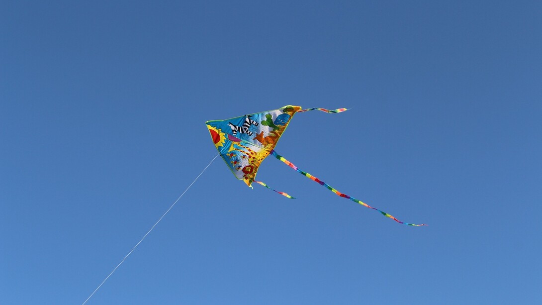 Las cometas llegan a los cielos de Bogotá en agosto