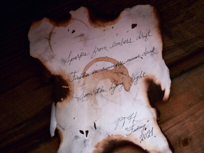 Uma palavra caída  das montanhas dos instantes desmancha todos os mares. Trecho do poema Timidez da autora Cecília Meireles