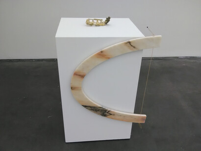 We Belong/We Dissent (from the series Things in Pause) 2013/17