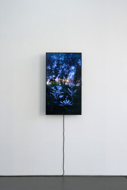 Toshihiko Mitsuya, Where shadow fails, exhibition view. Courtesy of Galerie Nagel Draxler