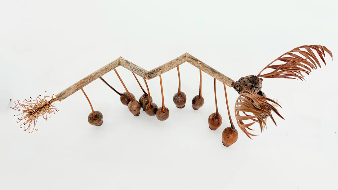 Isabella Kirkland, Pendulum moose (Alces pensilis), 2026. Courtesy of Hosfelt Gallery