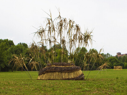 Iter Taraxacum - Federica Venier  