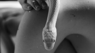 Con la excusa de adelantar en el trabajo, ambas comenzaron a quedarse más tarde de lo habitual, esperando que la oficina se despoblara.