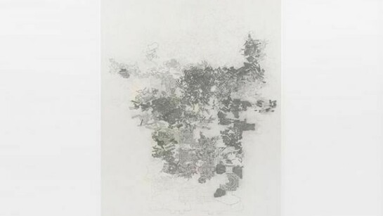 Guillermo Kuitca, Encyclopédie I, 2010, Acrylic and grahite on canvas, 196 x 136 cm / 77 1/8 x 53 1/2 in, © Guillermo Kuitca, Courtesy the artist and Hauser & Wirth, Photo: Alex Delfanne