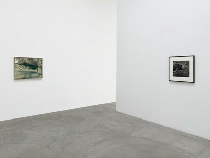 Various artists, Cats and apples, exhibition view. Courtesy of Matthew Marks Gallery