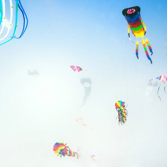 Sally Gall, Heavenly creatures, 2016. Courtesy of Robert Klein Gallery