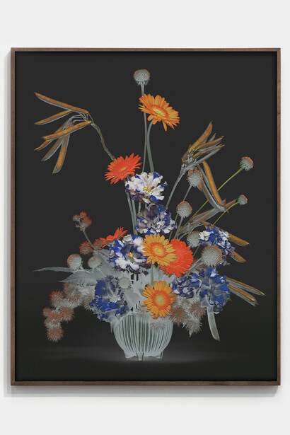 Jessica Eaton, MF 26 v02, 2023. Pigment print, framed with Museum Glass,
50 x 40 inches (127 x 101.6 cm),
edition of 5 plus 2 artist's proofs. Courtesy of the artist and M+B Gallery