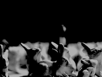 José Rosales: Aquelarre, Sala 1.1 MADC