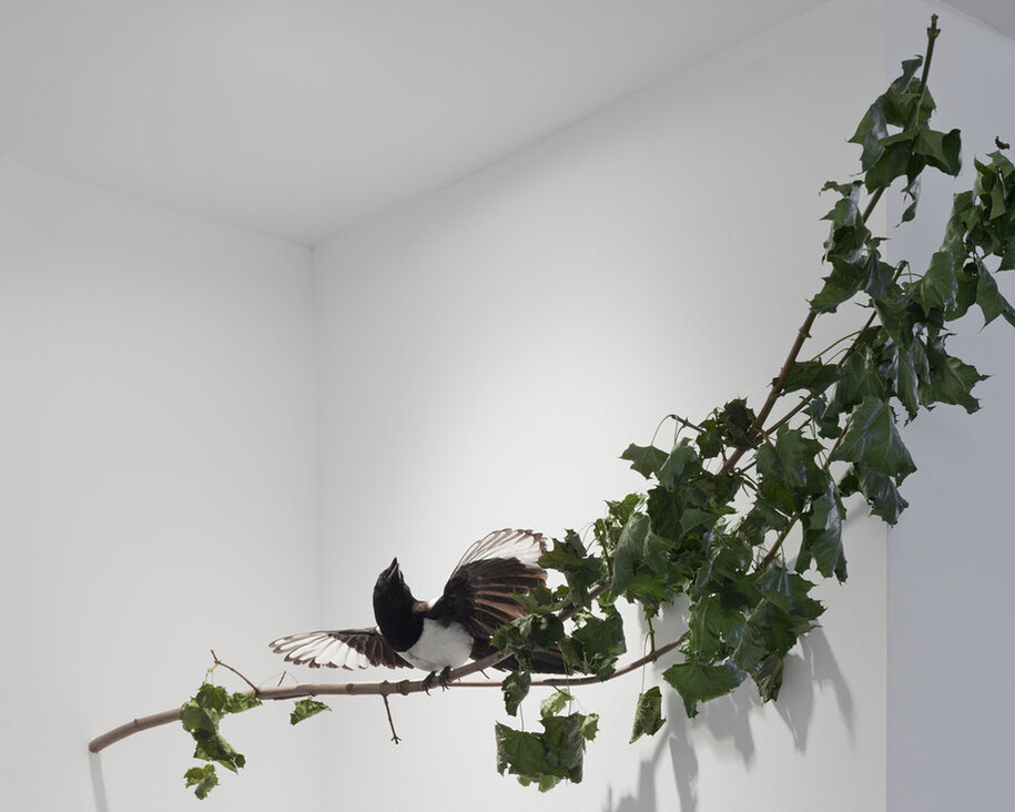 Sunset Décor, Exhibition view. Courtesy of Marian Goodman Gallery