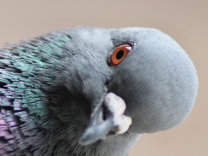 Desde inicios de curso, me había dado cuenta de que le costaba poner atención
