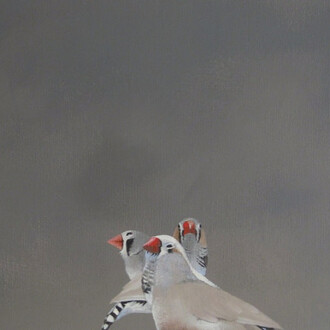 Specimens and Artifacts. Courtesy of  Wallspace 